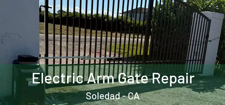 Electric Arm Gate Repair Soledad - CA