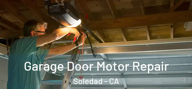 Garage Door Motor Repair Soledad - CA