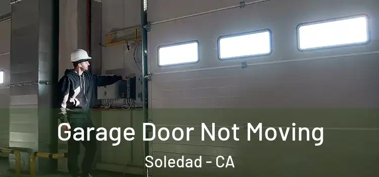  Garage Door Not Moving Soledad - CA
