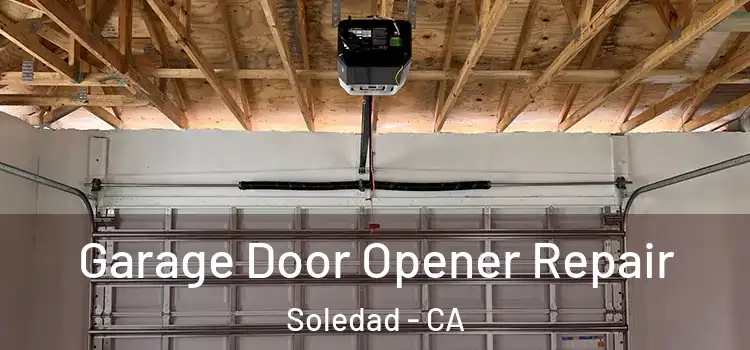  Garage Door Opener Repair Soledad - CA