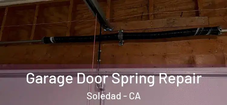  Garage Door Spring Repair Soledad - CA