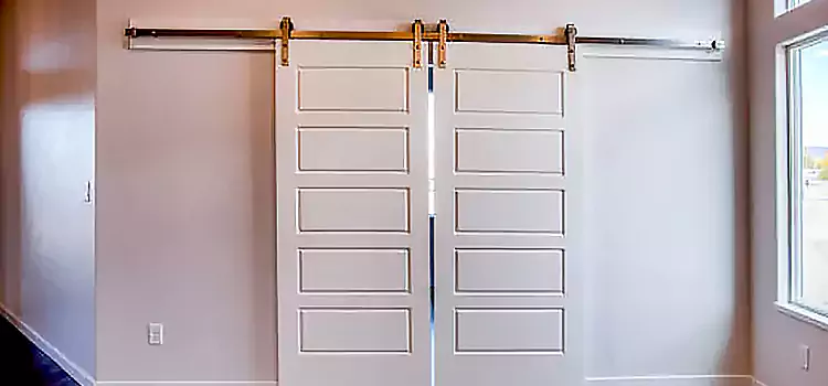 Glass Barn Door with Installation Hardware Kit Soledad