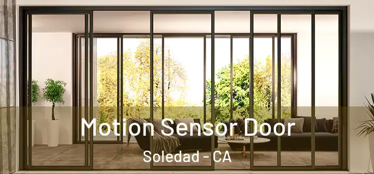 Motion Sensor Door Soledad - CA