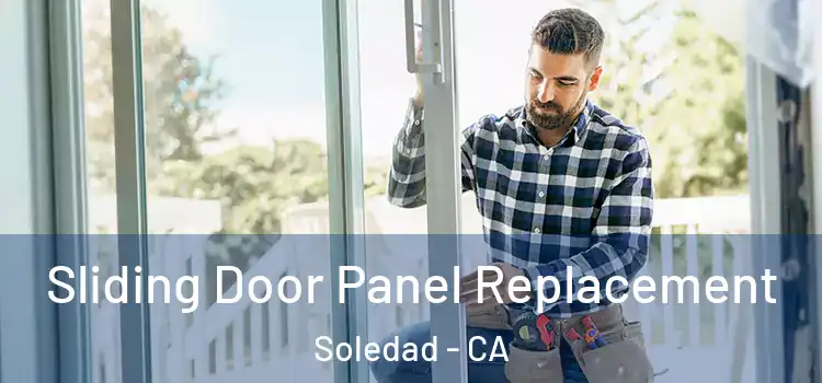  Sliding Door Panel Replacement Soledad - CA